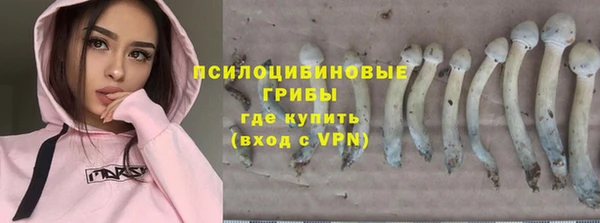 spice Корсаков